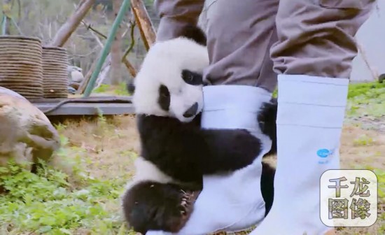 QQ�؈D20180415105852