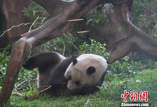 �D�顰�����������似��(c��)�L������������ �z