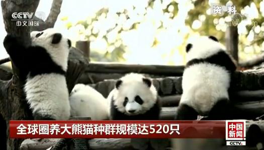 ȫ��Ȧ�B(y��ng)����؈�NȺҎ(gu��)ģ�_520ֻ