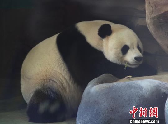 �D�顰���ա��ڴ��˯���������� �z