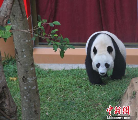 �D�顰������������ɢ������������ �z