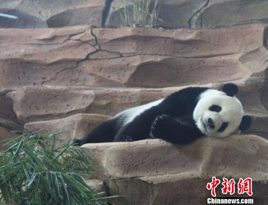 �D�鄂��ġ����ա����u�ȡ��������� �z