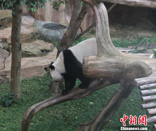 �D�顰�������ߡ���(d��)ľ������������ �z