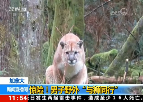 ���ô��@�U(xi��n)������Ұ�⡰�c�{ͬ�С�