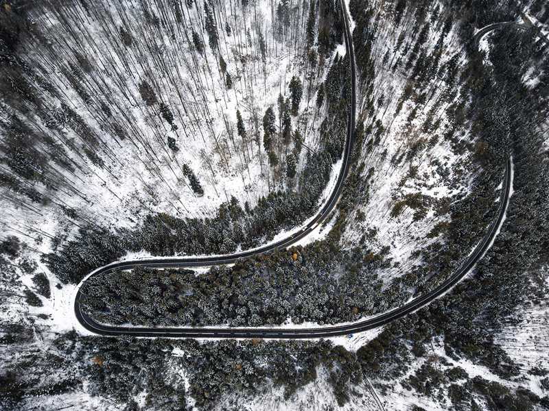 �_�R�၆�zӰ��Nicu Spinu�z�ښW�޲��ƾS�{��