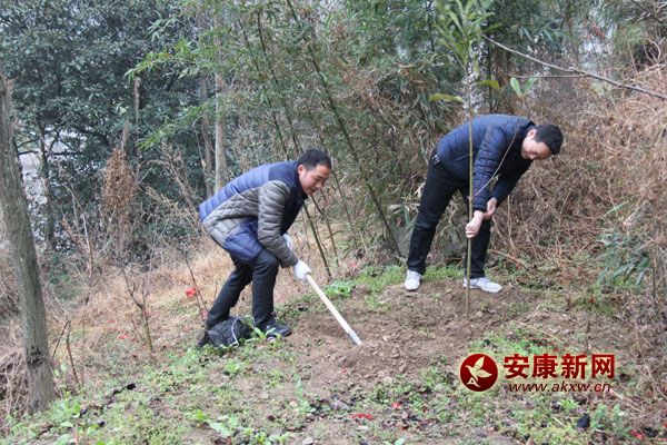 311գ޿hֱC(j)P(gun)300˅x(w)ֲ(sh)(dng)(dng)ֲ˘(sh)1400ԓhӋ(j)G6.2f(wn)д