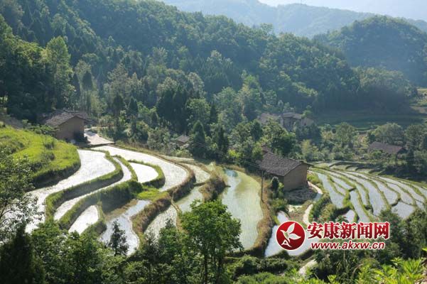 �zӰ  ������2.jpg