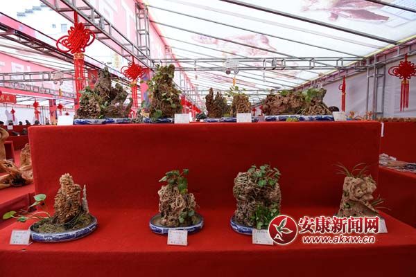 ǧ�˰ّB(t��i)�ĝh����ʯ (4).jpg