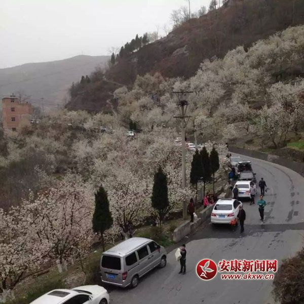 �?c��)뻨�������ܲ����?jpg