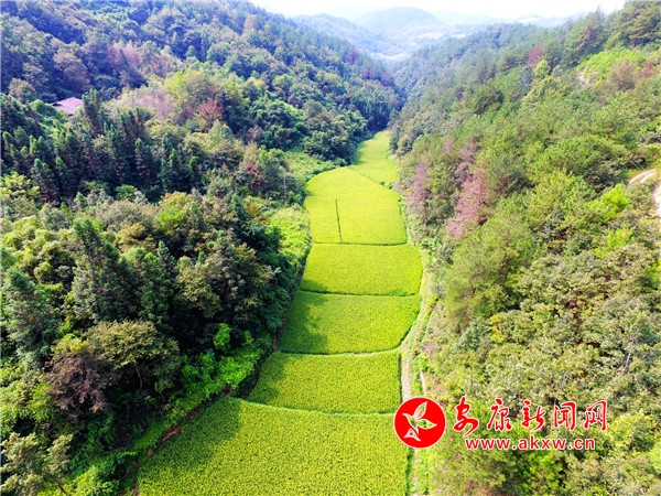 2.��(j��)�˽����@��ĵ��Ȍ�����ˮ�ȣ��ǵ��ȵ�һ�N��ֻ�������ܵ���l�����ƺ�Ӱ������ڹ�ȵ����ˮ��ȫȡ����ɽ�֏�����ˮ�|��