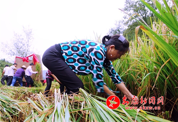 6.�ڬF(xi��n)����ֻҊ10��λ�������ֳ��������ץ������������һ�����������������R�Ĕ[��������&ldquo;�����&rdquo;Ҋ�p������������