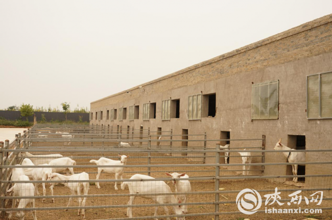 �DƬ2_����