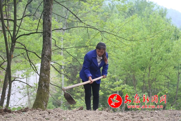 ����Ⱥ1 (3).JPG