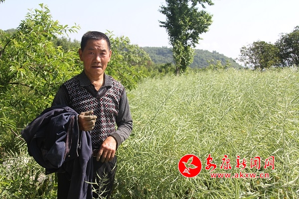 67�q�ď����F�����������e��������Ͳ������������f��ȥ�����µ�600��߀�������������u�������Լ��̓��������ԣ�����̤��