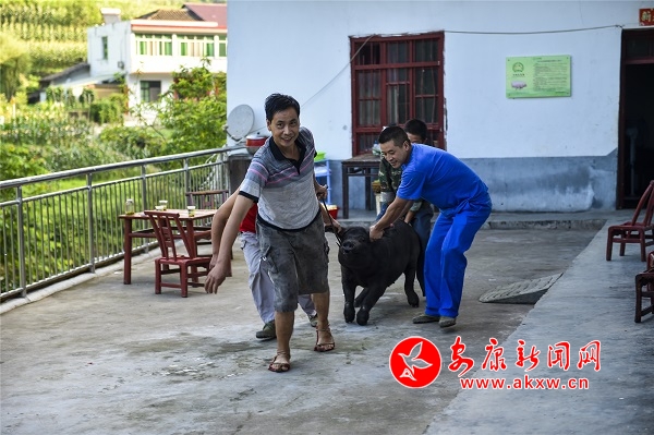 2019.7.28�p���Ҝ��������C 006-1.jpg