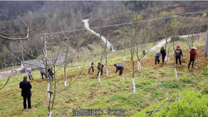 �h�I���@�^(q��)����(d��ng)������