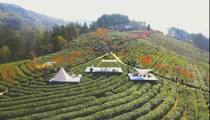 ���(y��ng)�����衰�ơ����_(k��i)�@