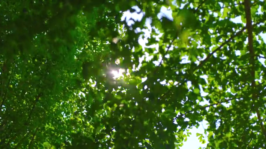 ����˲�g-����