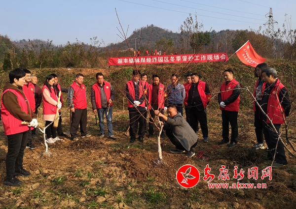 1、迎豐鎮(zhèn)召開(kāi)林果經(jīng)濟(jì)園區(qū)冬季管護(hù)工作現(xiàn)場(chǎng)會(huì).jpg