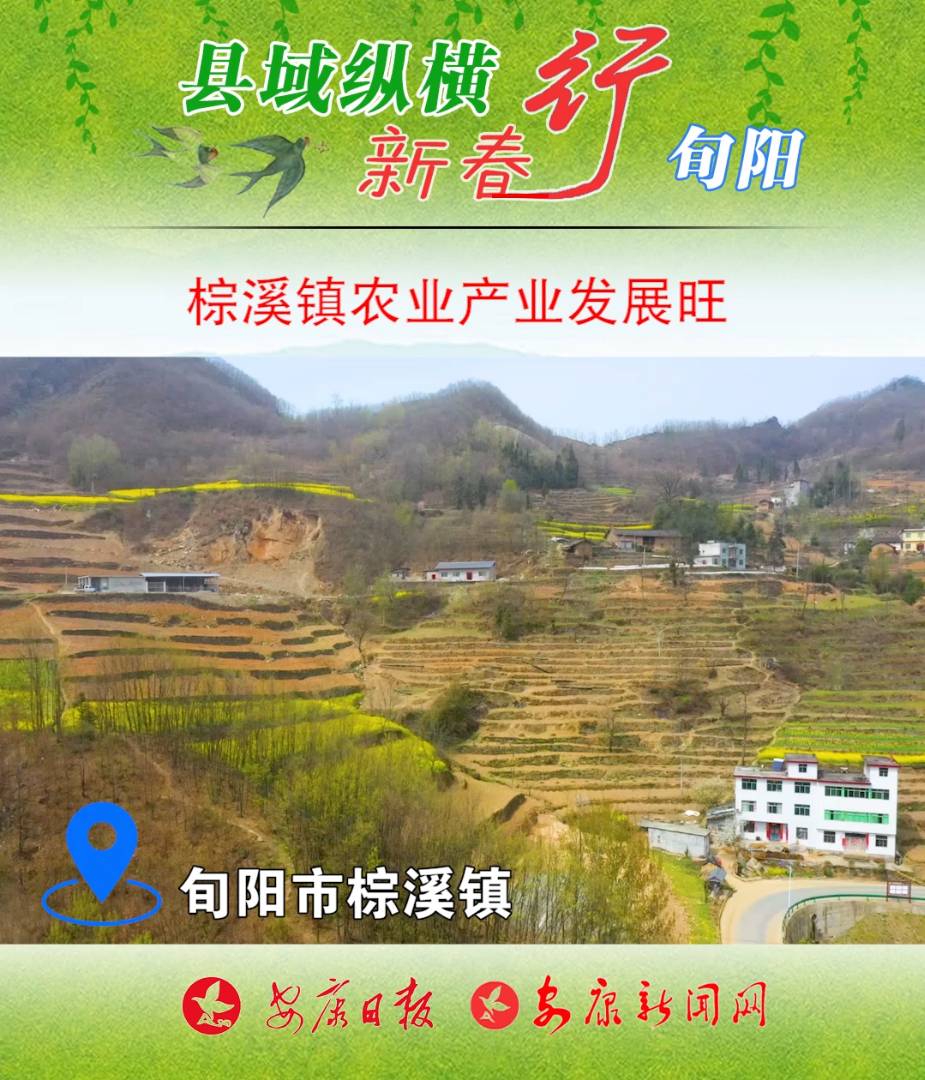 Ѯ�����Ϫ�(zh��n)���r�I(y��)�a�I(y��)����ץ��