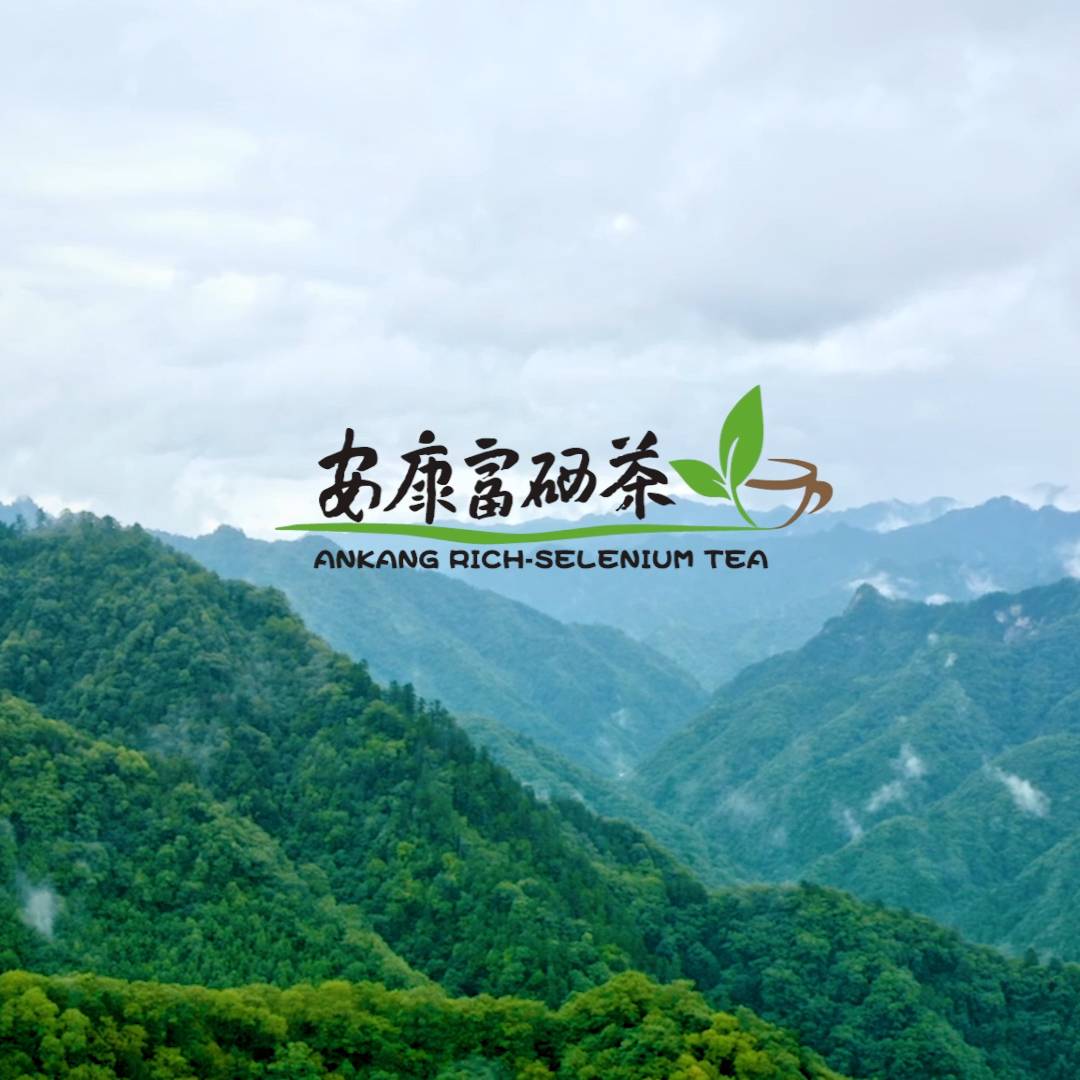 ��������������Ƭ��