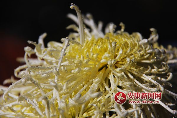 9ջʢ_ƢӭLŭ׿ȻSٻͬcٻcscĺɠG