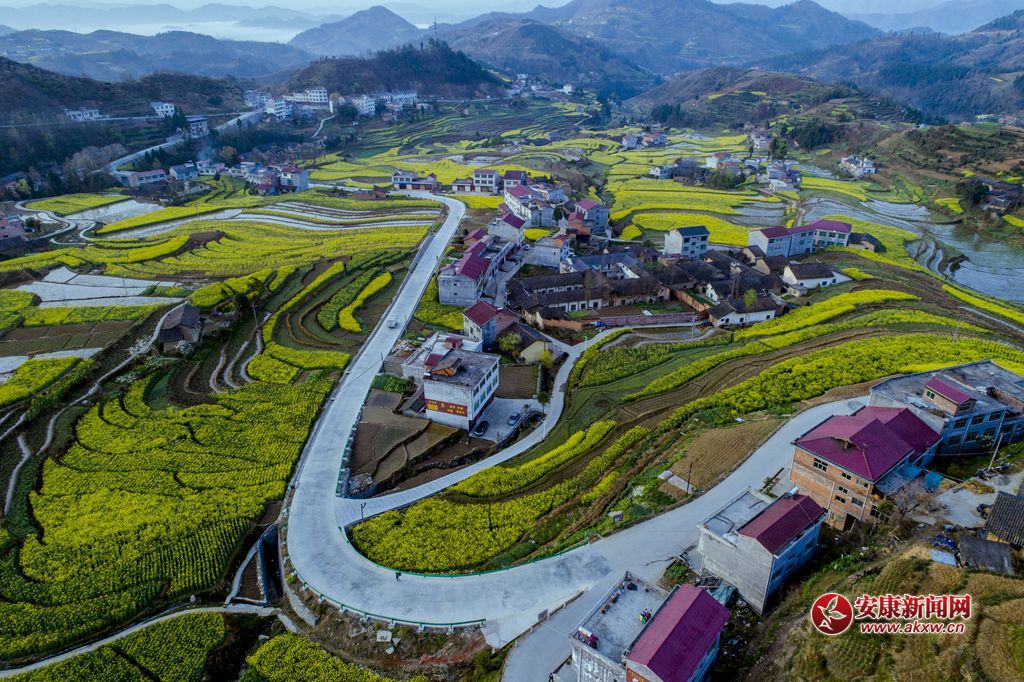 PߴɫzӰƤ¾SԒh13325355508Ĕzʡhꎿhu(zhn)P߹ - .JPG