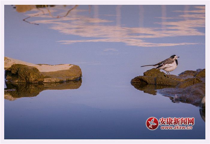 ˮһɫzӰƤ¾Sf(shu)Ƭ2017123ʡНhĔzģչF(xin)õB(ti)h(hun)(lin)ϵԒ