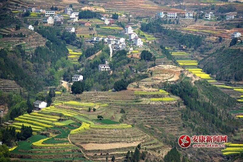 D2.̎(gu)(ni)ꑸ(d)߁ɽɽɽص6Nεòc(din)˷Ϣ@˂ò