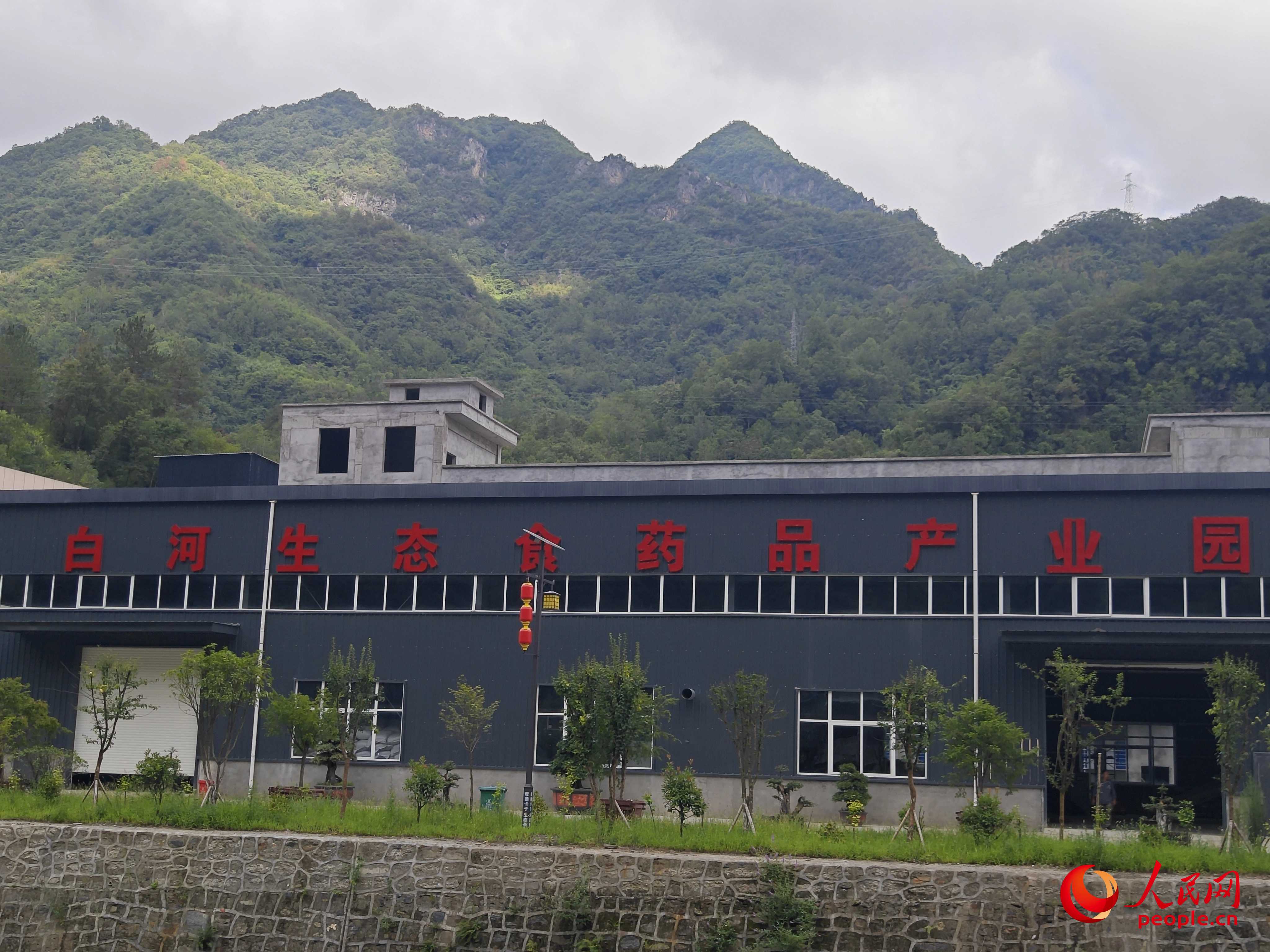 卡子鎮(zhèn)新建的社區(qū)工廠。人民網(wǎng)記者 黃鈺攝